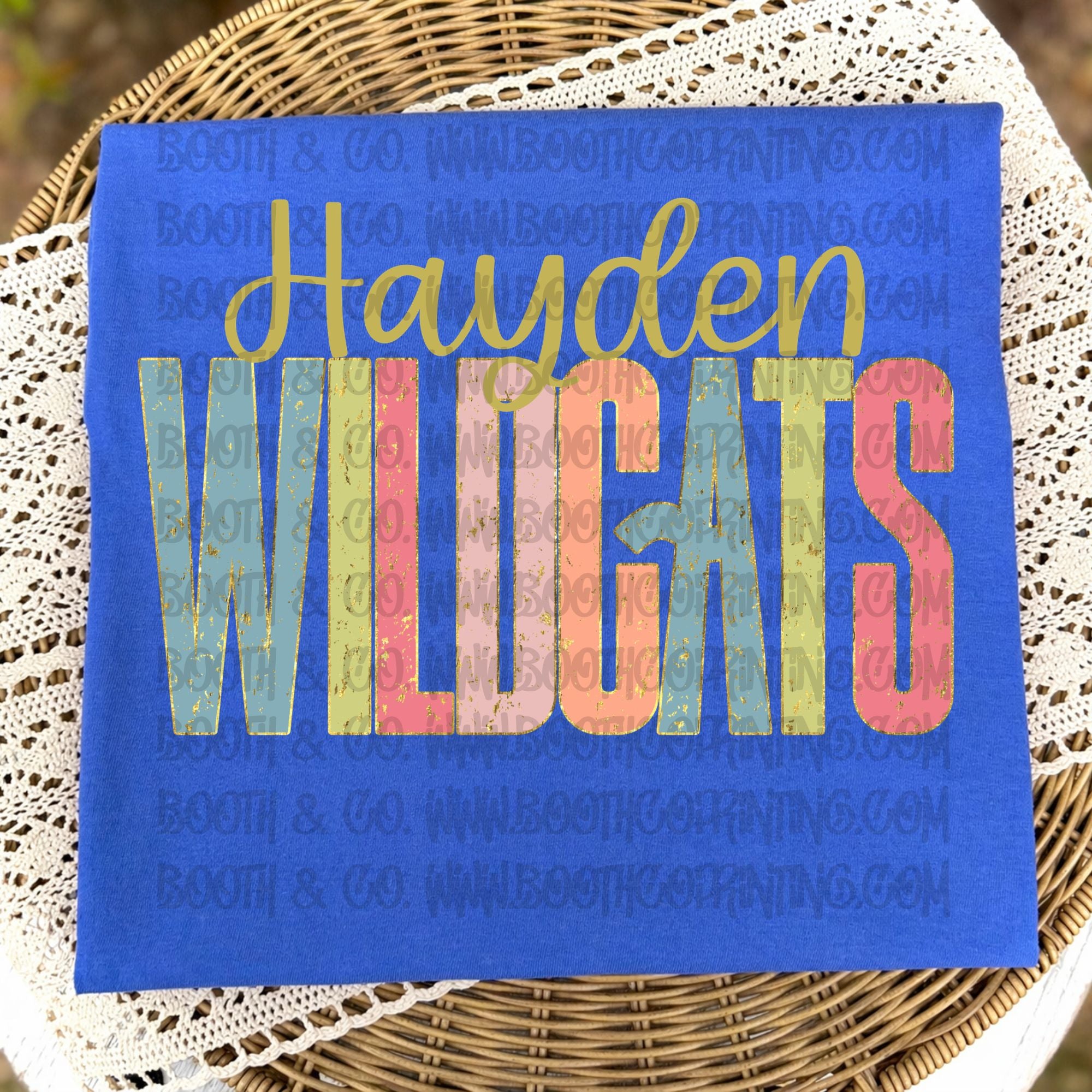 Hayden Wildcats