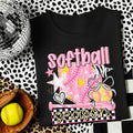 Softball Season DWS  Home Plate Softball