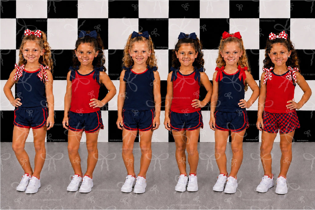 Blank Bow Sets- Navy Blue and Red