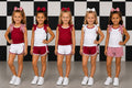 Blank Bow Sets- Crimson and White